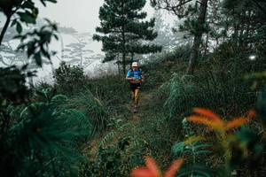 BIB: 
                            <button type="button" onclick="openModal(25257740)" class="btn btn-primary btn-sm float-right btn-popup" data-toggle="modal" data-target=".modal-high-quality">
                        <i class="fas fa-shopping-cart"></i> Add to Cart
                    </button>
                                            <button type="button" onclick="isThisMe(25257740, true)" class="btn btn-success btn-sm float-right btn-popup btn-isme hidden" data-toggle="tooltip" data-placement="bottom" title="นี่คือรูปของคุณใช่ไหม คลิกที่นี่เพื่อเอาเข้าอัลบั้ม">
                        <i class="fas fa-plus"></i> Add to album
                    </button>
                    <button type="button" onclick="isThisMe(25257740, false)" class="btn btn-warning btn-sm float-right btn-popup btn-isnotme hidden">
                        <i class="fas fa-ban"></i> Remove from album
                    </button>